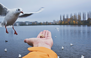 南宫国际(中国区)-官方网站